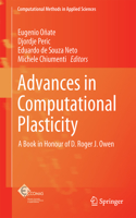 Advances in Computational Plasticity