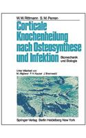 Corticale Knochenheilung Nach Osteosynthese Und Infektion