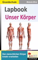 Lapbook Unser Korper