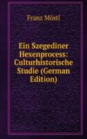 Ein Szegediner Hexenprocess: Culturhistorische Studie (German Edition)
