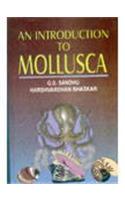 An Introduction to Mollusca