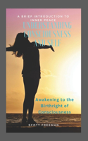 Understanding Consciousness and Self