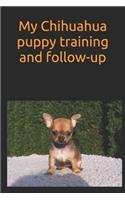 My Chihuahua puppy training and follow-up