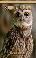 Burrowing Owl