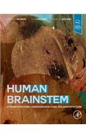 Human Brainstem: Cytoarchitecture, Chemoarchitecture, Myeloarchitecture