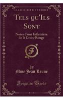 Tels Qu'ils Sont: Notes d'Une Infirmiere de la Croix-Rouge (Classic Reprint)