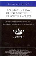 Bankruptcy Law Client Strategies in South America: Leading Lawyers on Navigating the South American Bankruptcy Process, Working with Local Governments
