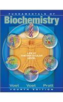 Fundamentals of Biochemistry: Life at the Molecular Level