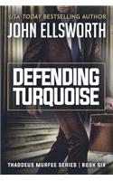 Defending Turquoise