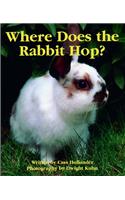 Ready Readers, Stage 2, Book 30, Where Does the Rabbit Hop?, Big Book: (English)