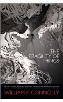 Fragility of Things