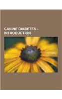 Canine Diabetes - Introduction