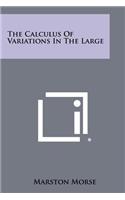 Calculus Of Variations In The Large