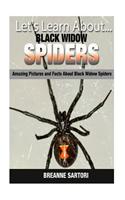 Black Widow Spiders: Amazing Pictures and Facts about Black Widow Spiders