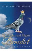 Flights and Plights of Benedict