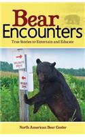 Bear Encounters