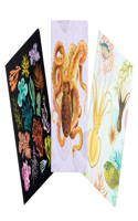 Art of Nature: Under the Sea Sewn Notebook Collection: (Cute Stationery Gift, Gift for Girls, Notebooks)