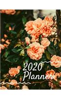 2020 Planner Weekly