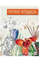 Vintage Botanical coloring Book For Adults For Adults: vintage flower coloring book grayscale coloring books for adults