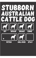 Stubborn Australian Cattle Dog