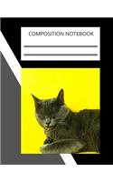 Composition Notebook, Notebooks are important: 110 Ruled Pages (8.5 x 11 in): College Ruled Blank Lined Cute Notebooks for Girls Teens Kids School Writing Notes Journal (8.5 x 11 in)