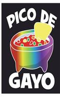 Pico De Gayo: Gay Pride Journal 6 x 9, 120 Page Blank Lined Paperback Journal/Notebook