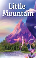 Little Mountain