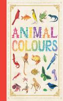First Concept: Animal Colours