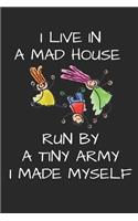 I Live in a Mad House Run by a Tiny Army I Made Myself