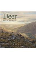 Deer: Artists' Impressions