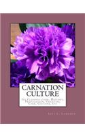 Carnation Culture