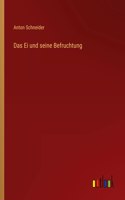 Ei und seine Befruchtung