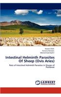 Intestinal Helminth Parasites Of Sheep (Ovis Aries)