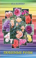 Favorite rose