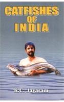 Catfishes of India