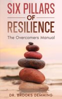 Six Pillars of Resilience
