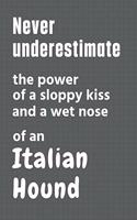 Never underestimate the power of a sloppy kiss and a wet nose of an Italian Hound: For Italian Hound Dog Fans