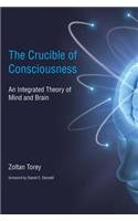 The Crucible of Consciousness