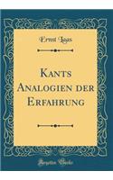 Kants Analogien der Erfahrung (Classic Reprint)