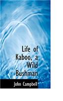 Life of Kaboo, a Wild Bushman