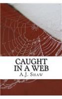Caught In A Web