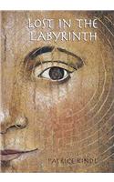 Lost in the Labyrinth