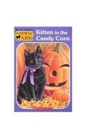 Kitten in the Candy Corn