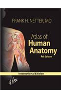 Atlas of Human Anatomy, International Edition