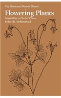 Flowering Plants: Magnolias to Pitcher Plants