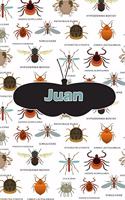 Juan: Bug Insect Handwriting for K-3 Students Practice Paper Book Notebook Journal Book 120 Pages 6x9