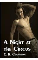 Night at the Circus