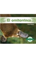 El Ornitorrinco (Platypus )