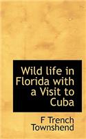 Wild Life in Florida with a Visit to Cuba