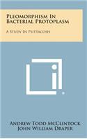 Pleomorphism in Bacterial Protoplasm